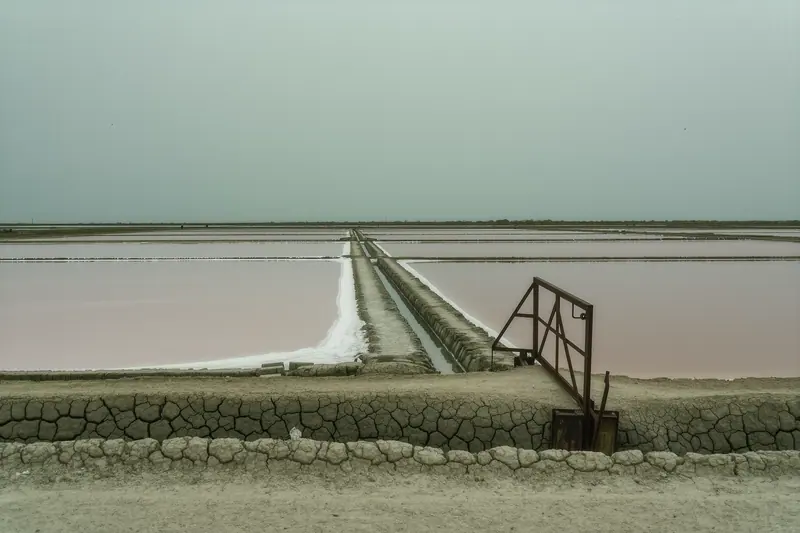 The shallow rectangular salt pans of Ses Salines with low dividing walls and pink-grey standing water, no people.