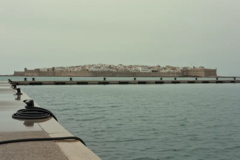 Empty marina finger berths with cleats and power posts in Ibiza town, the walled old town flat on the skyline behind.